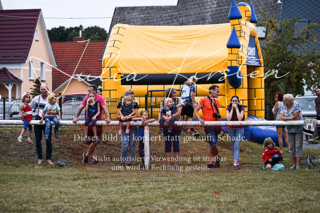 DSC_9306 | Pferde- und Turnierfotografie in Westsachsen. Pferdeportraits, Auftragszeichnungen und intuitive Kunst.