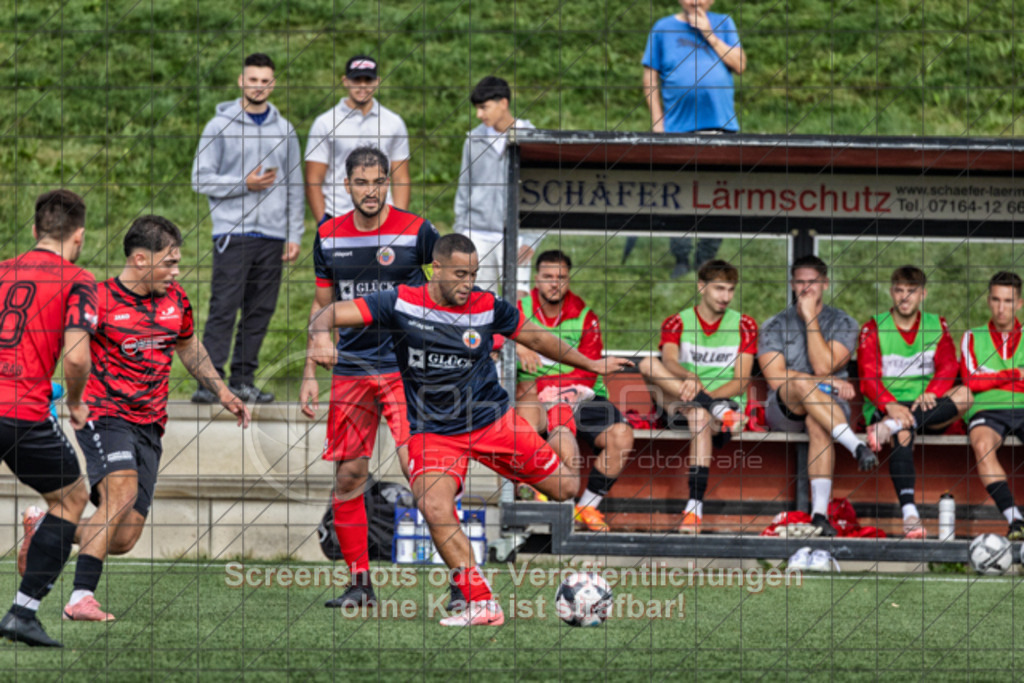 20250726_175716_0077-Bearbeitet | #,TSV Bad Boll (rot/schwarz) vs. TSVGG Plattenhardt (blau/rot), Fussball, DB-Regio-WFW-Pokal - wfv, 1.Runde, Saison 2025/2026, Kunstrasenplatz, Erlengarten 37, 73087 Bad Boll, 26.07.2025 - 17:30 Uhr,Foto: PhotoPeet-Sportfotografie/Peter Harich