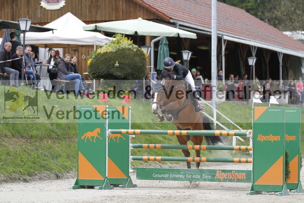 _MG_4249 | equestrian-live-com