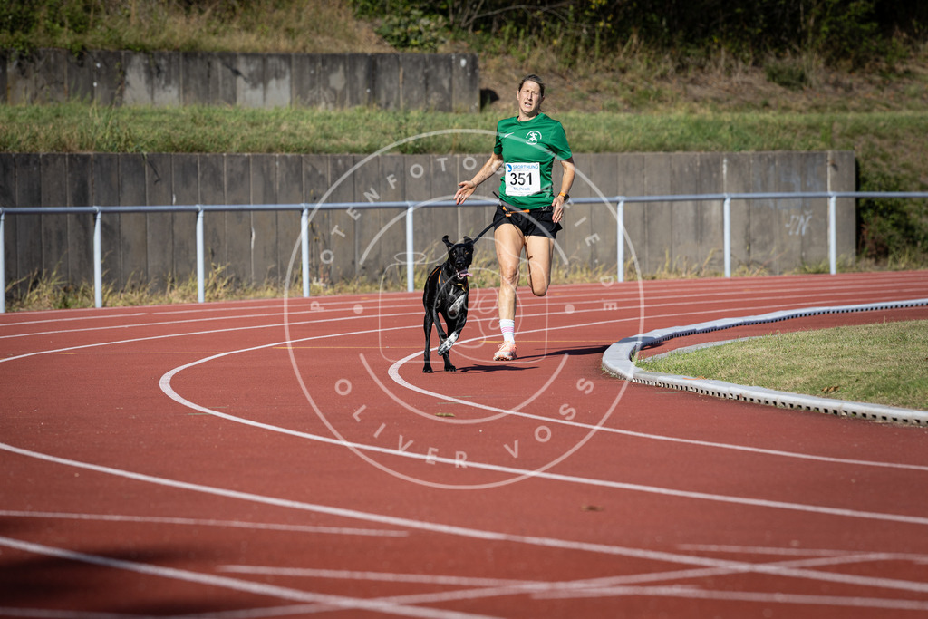 Pfotenfotografie_DV3A9102 | Hundefotografie, Tierfotograf, Pfotenfotografie, Fotoshooting Hund, Hunde Portrait, Hundesport, Hundeportraits, Heideshooting, Hunde, Sportfotograf, Hundefotograf, Turnierhundsport, THS,  - Realisiert mit Pictrs.com