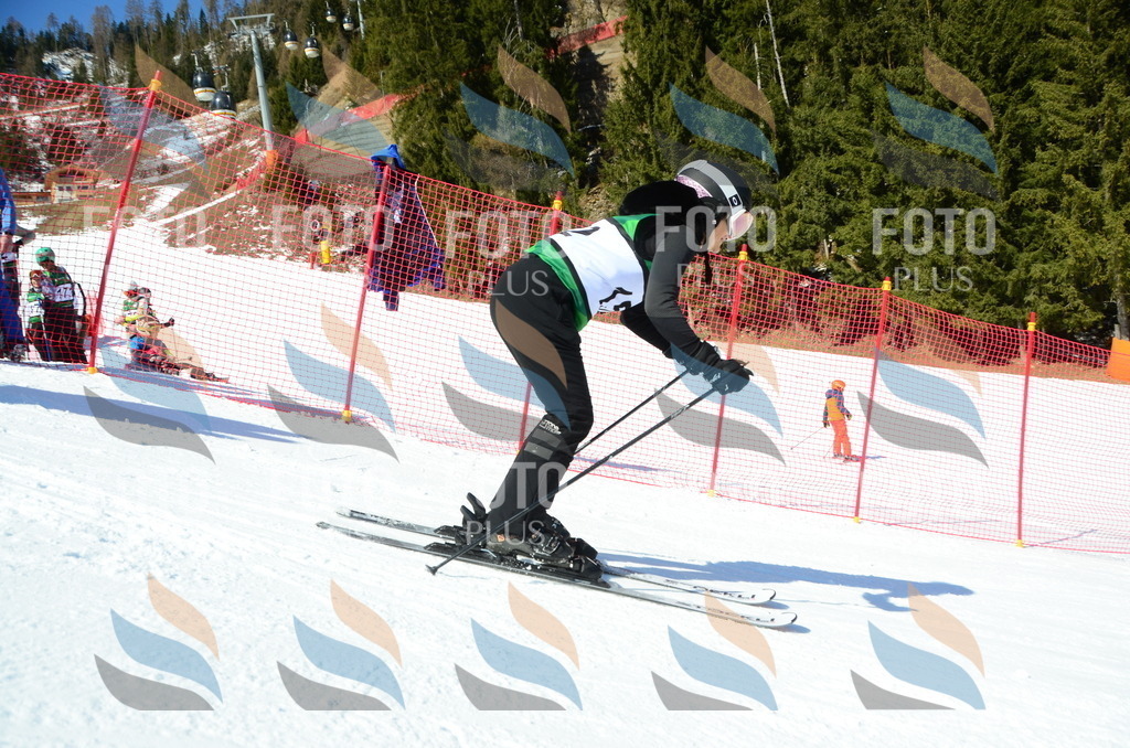 C6143 | holidayphoto