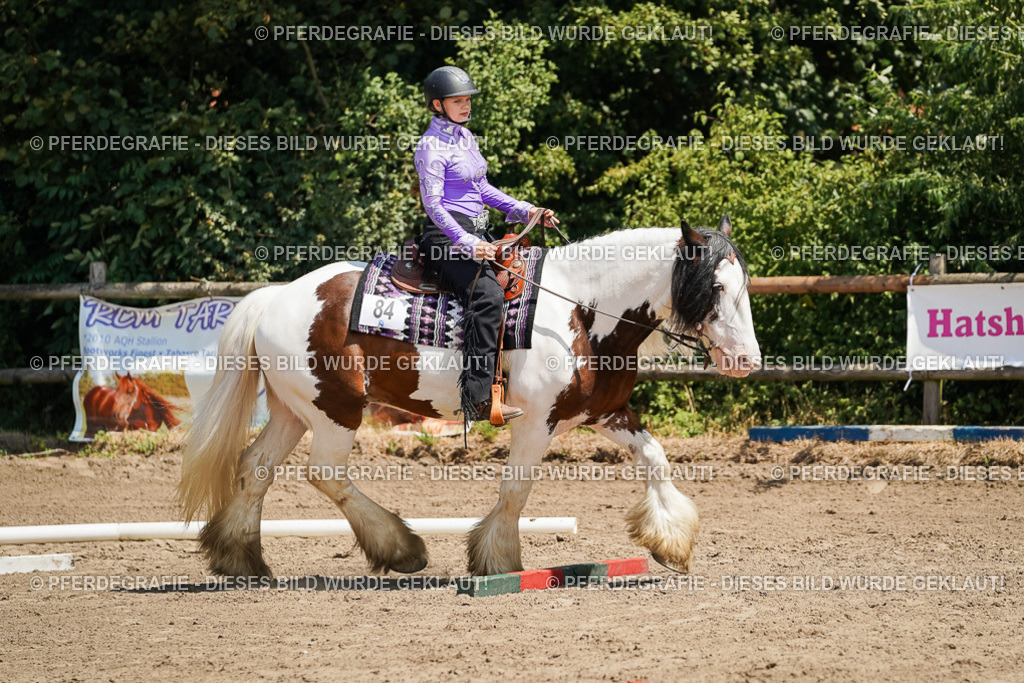 DSC07495 | Pferdegrafie