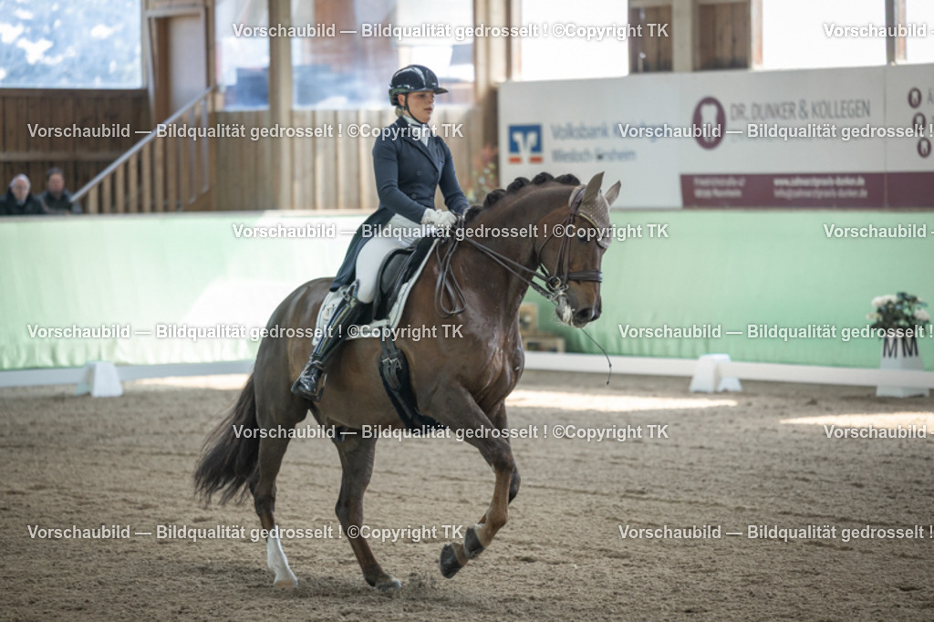 _D5A9185 | Emotionale Pferde- & People-Fotografie rund um Heidelberg, Leimen & Umgebung. Natürliche Fotos von Pferd, Mensch & Familie. Jetzt Termin sichern!