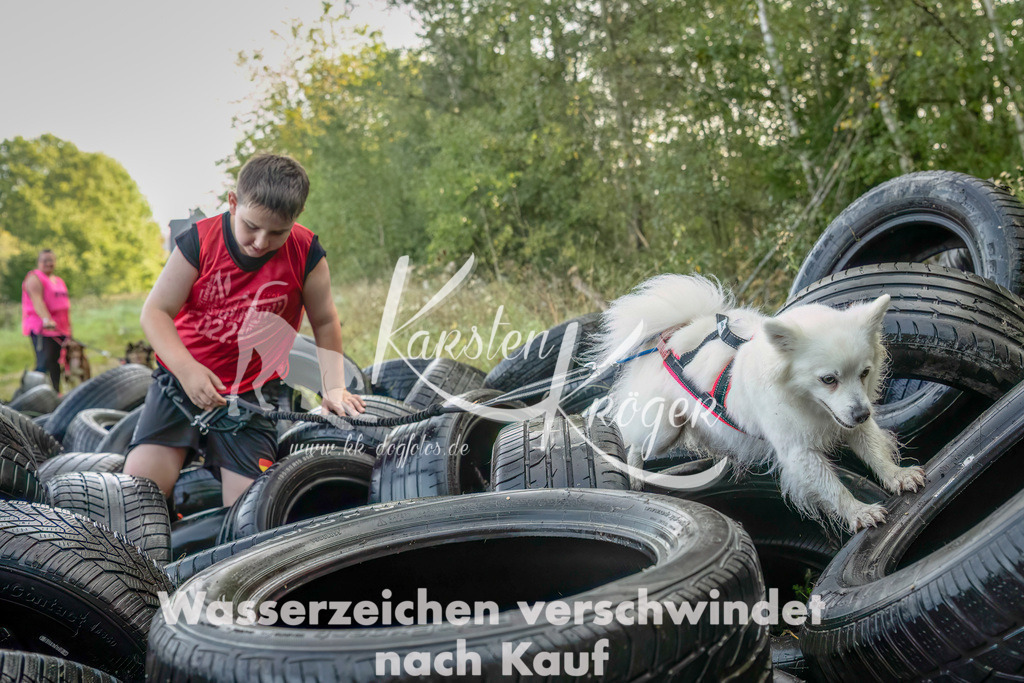1032_ZZ94714-Bearbeitet-2 | kk-dogfotos