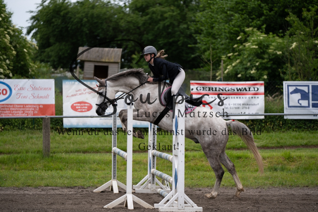 A7V03882 | Pferdefotograf