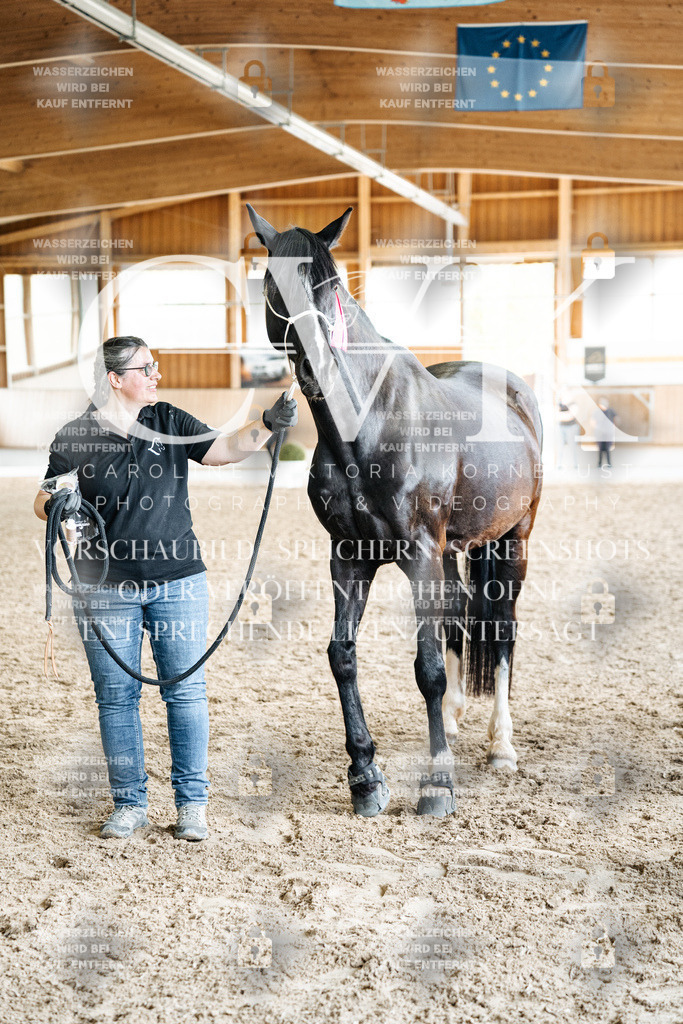 CK703291 | Turnierfotografie Pferdefotografie Trier Rheinland-Pfalz Pferdesport Reitsport Tierfotografie Sportfotografie Pferdevideo Pferdevideografie Equestrianvideography equestrianphotography  - Realized with Pictrs.com