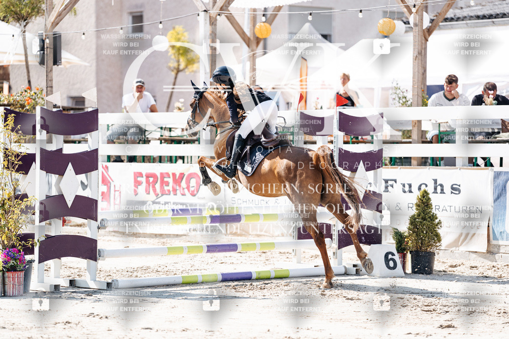 CK905185 | Turnierfotografie Pferdefotografie Trier Rheinland-Pfalz Pferdesport Reitsport Tierfotografie Sportfotografie Pferdevideo Pferdevideografie Equestrianvideography equestrianphotography  - Realisiert mit Pictrs.com