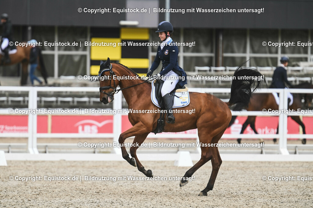 20230512_CCI4_Dressur_0473 | equistock