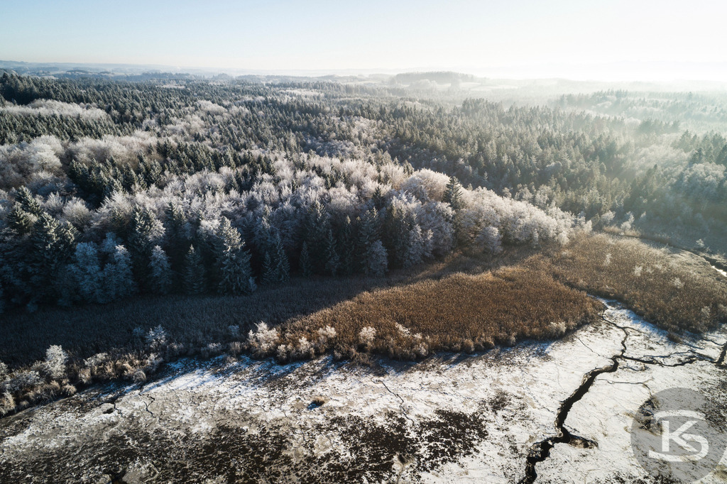 Allgäu-Wald-Landschaft aus der Luft mit dichtem Nadelwald im Winter | Atemberaubende Allgäu-Wald-Landschaft aus der Luft mit gefrorenem Nadelwald im Winter – idyllische Natur und gedeckte Farben, beeindruckende Drohnenaufnahme - Realisiert mit Pictrs.com