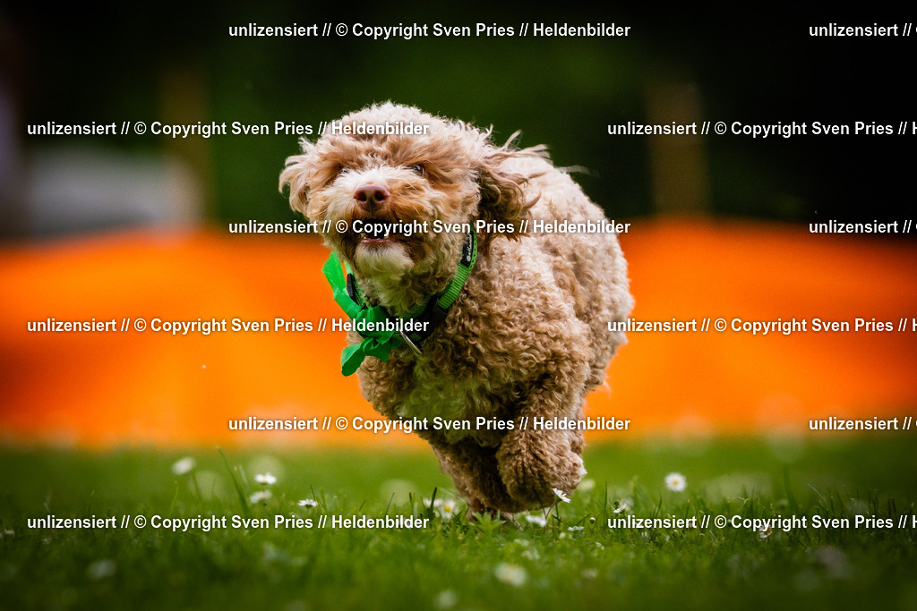 Sven Pries | 2025-05-29 - Pudelrennen KA-Durlach - Realisiert mit Pictrs.com