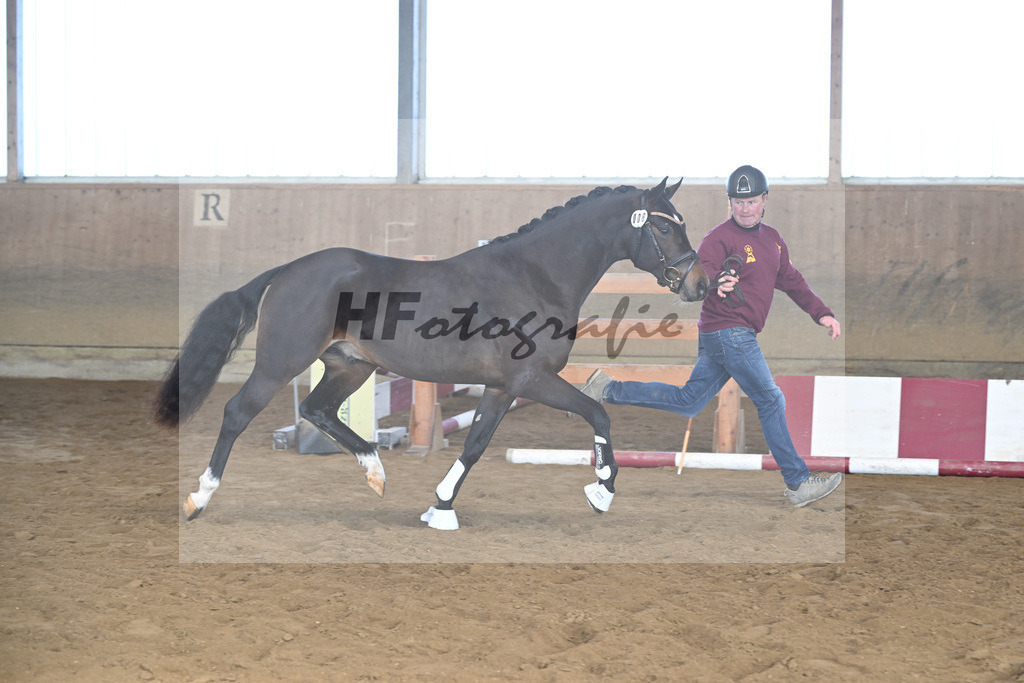 Kat-Nr. 6 Junkbrunnens Nomen est Omen v. Neverland WE_Thomas_49250155 | hf-fotografie - Realisiert mit Pictrs.com