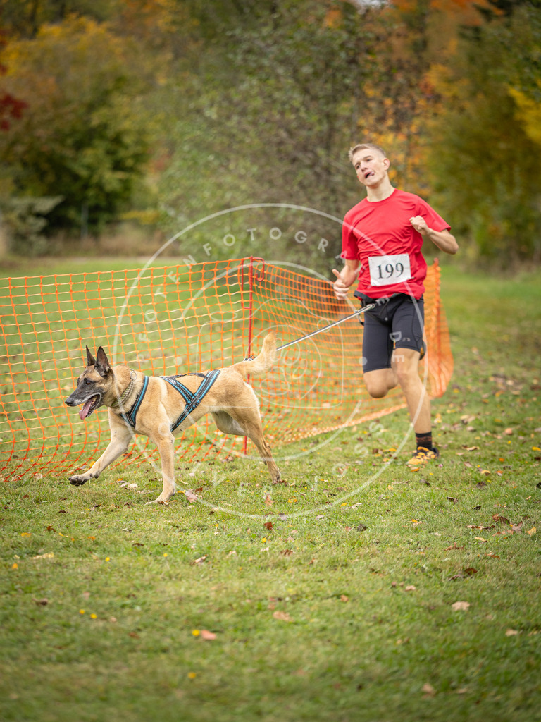 Pfotenfotografie_DV3A3818 | Hundefotografie, Tierfotograf, Pfotenfotografie, Fotoshooting Hund, Hunde Portrait, Hundesport, Hundeportraits, Heideshooting, Hunde, Sportfotograf, Hundefotograf, Turnierhundsport, THS,  - Realisiert mit Pictrs.com