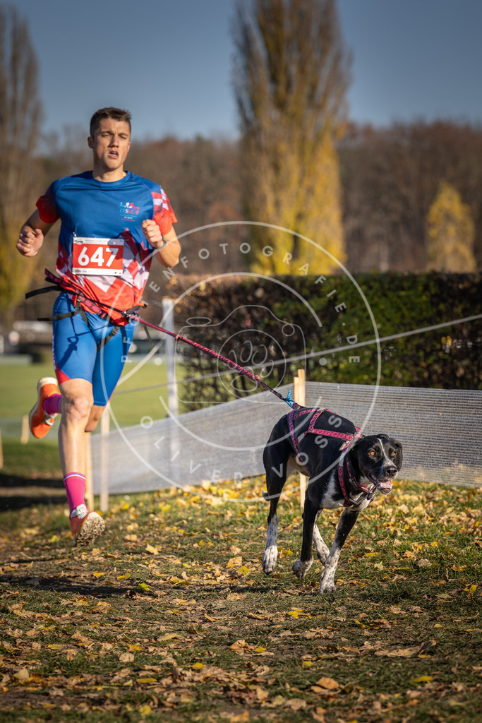 CaniXpix_DV3A0445 | Hundefotografie, Tierfotograf, Pfotenfotografie, Fotoshooting Hund, Hunde Portrait, Hundesport, Hundeportraits, Heideshooting, Hunde, Sportfotograf, Hundefotograf, Turnierhundsport, THS,  - Realisiert mit Pictrs.com