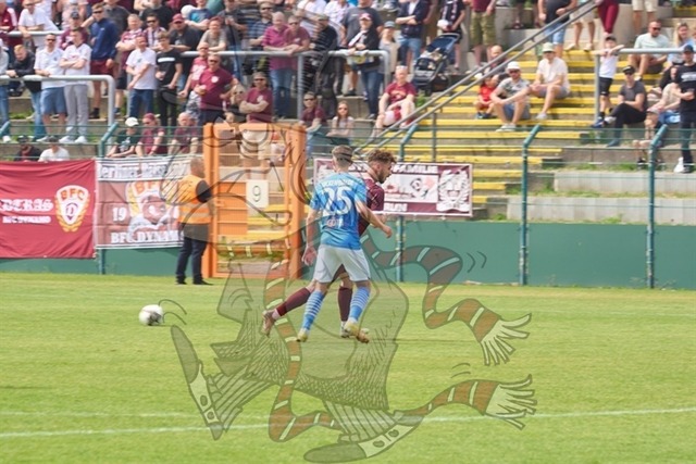 BFC Dynamo vs. FSV 63 Luckenwalde 076 | mythos-online-redaktion