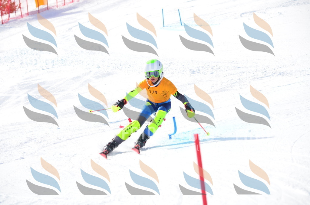 C7982 | holidayphoto