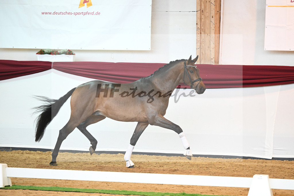 Kat-Nr. 39 v. Jovian_Dahlhoff_66221005 | hf-fotografie - Realisiert mit Pictrs.com