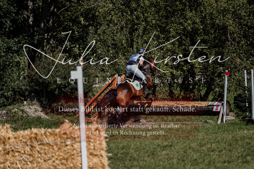DSC_1516 | Pferde- und Turnierfotografie in Westsachsen. Pferdeportraits, Auftragszeichnungen und intuitive Kunst.
