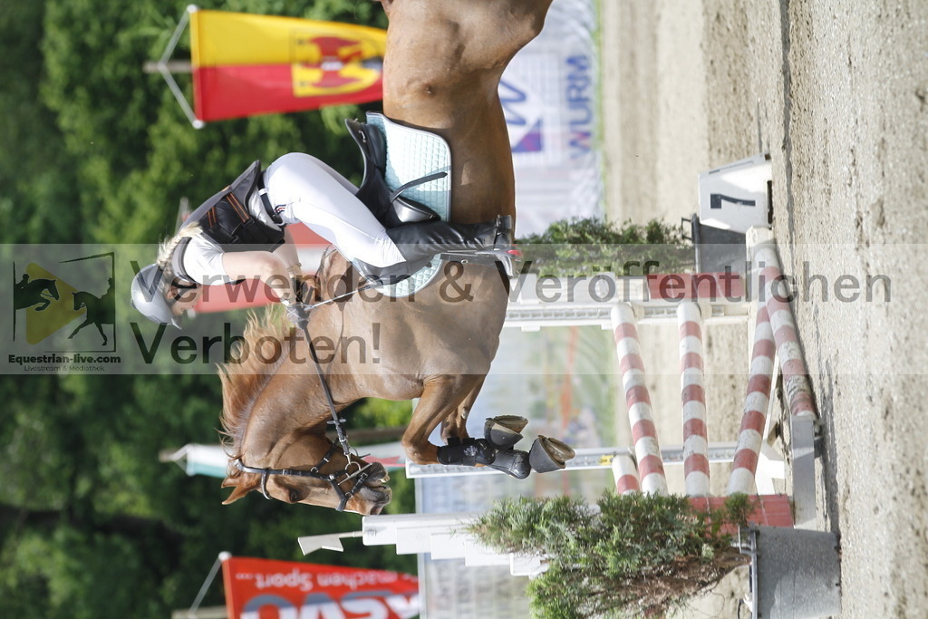 _MG_5161 | equestrian-live-com