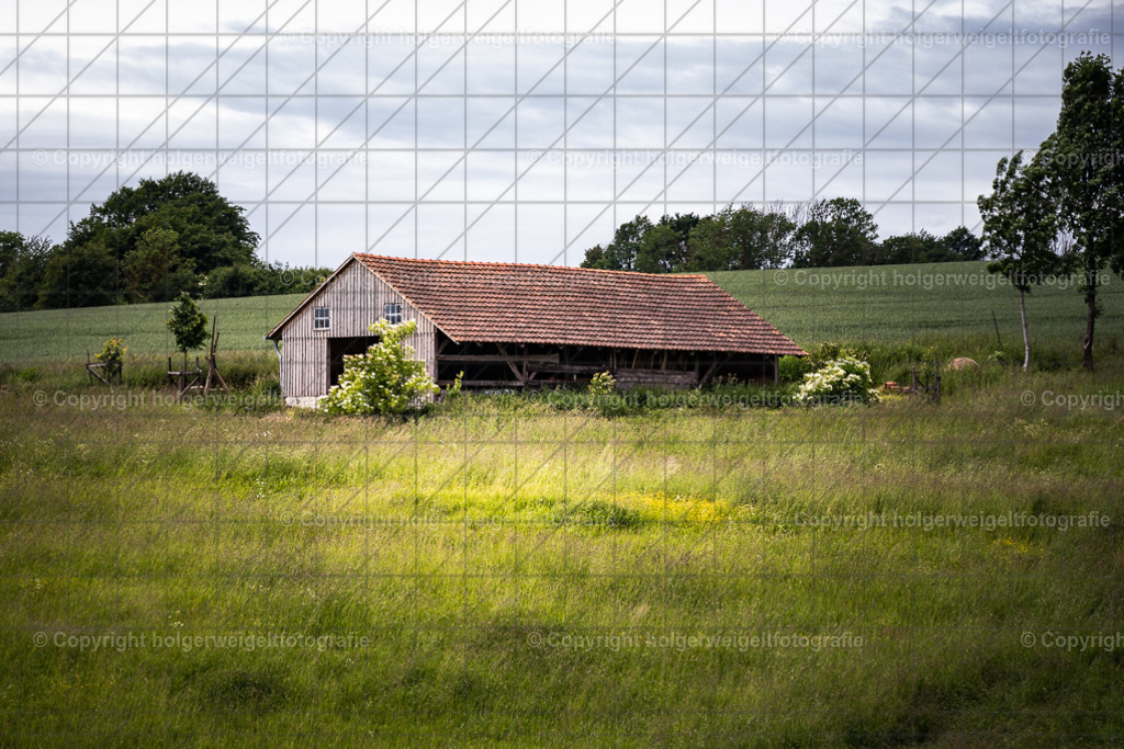 20260616105619Z63_4601 | Kaufen sie online außergewöhnliche Fotografien auf Leinwand Acrylglas Fotoprint Aludibond von holgerweigeltfotografie - Realisiert mit Pictrs.com