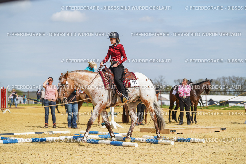 DSC04450 | Pferdegrafie