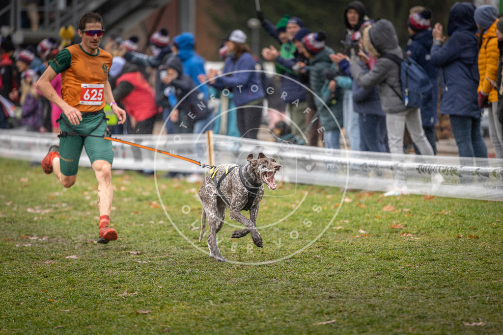 CaniXpix_DV3A9704 | Hundefotografie, Tierfotograf, Pfotenfotografie, Fotoshooting Hund, Hunde Portrait, Hundesport, Hundeportraits, Heideshooting, Hunde, Sportfotograf, Hundefotograf, Turnierhundsport, THS,  - Realisiert mit Pictrs.com