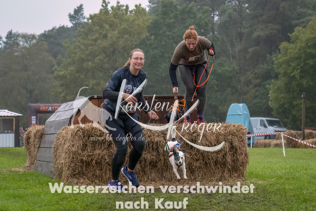 1251--5 | kk-dogfotos