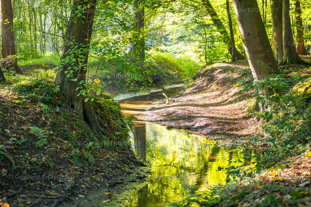 _1107690 | thowehey - Realisiert mit Pictrs.com