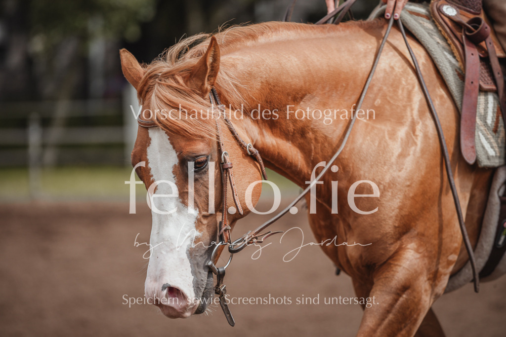 fell.o.fie_mandyjordan_2024_06_08680 | Mandy Klecke Fellfotografie, fell.o.fie Fotografenshop - Realisiert mit Pictrs.com
