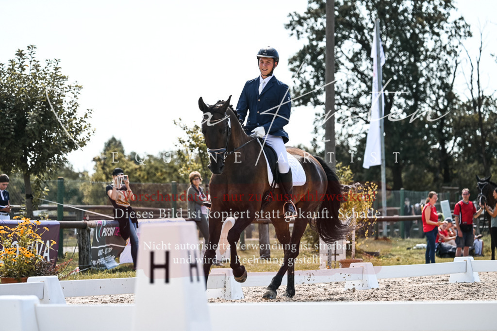 DSC_5448 | Pferde- und Turnierfotografie in Westsachsen. Pferdeportraits, Auftragszeichnungen und intuitive Kunst.