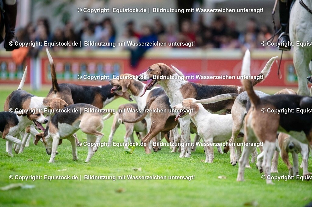 20250606_Lange-Pferdenacht_0473 | Foto: Thomas Hartig