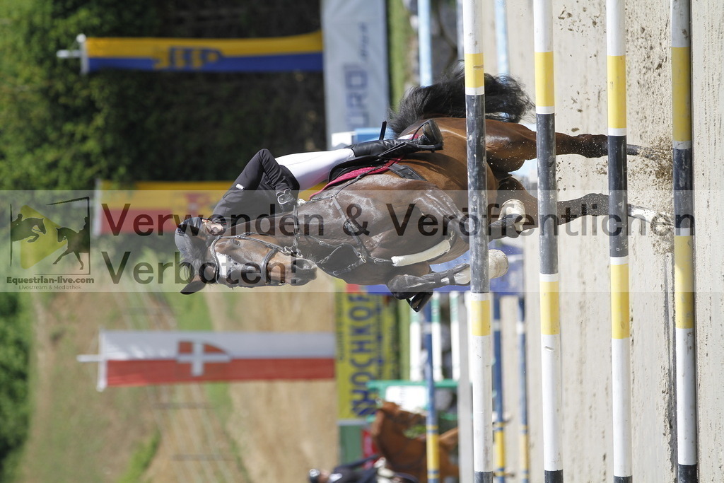 _MG_8630 | equestrian-live-com