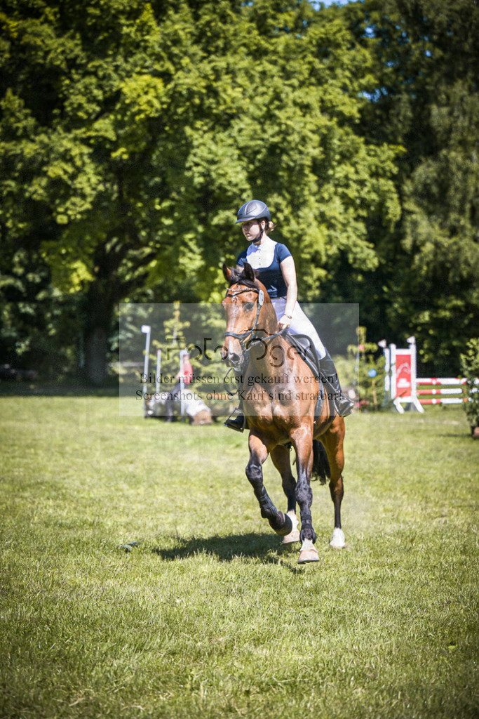 DOS_4375 | Entdecke hochwertige Reitturnierfotos von Foto Oger. Professionell, emotional und authentisch – jetzt Lieblingsmomente im Shop bestellen.Deutschlandweite Turnierfotografie. - Realisiert mit Pictrs.com