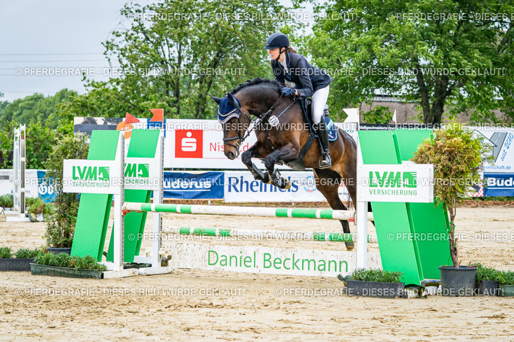 DSC02485 | Pferdegrafie