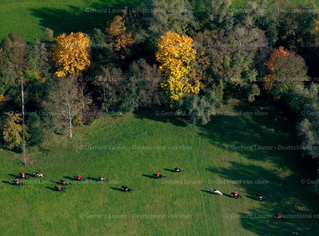 2499133 | Fuchsjagd bei Waiblingen
