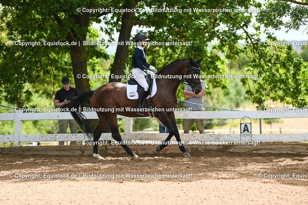 20230716_03_Dressurprfg. Kl.L - Tr._0267 | equistock