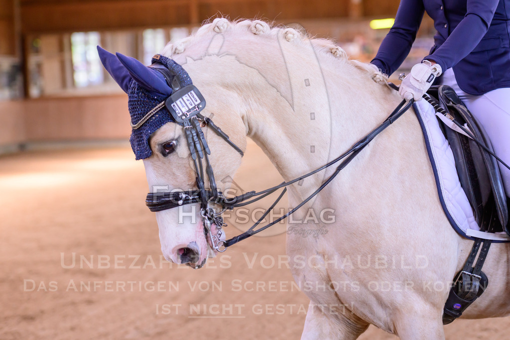 11042026-Mammendorf-Prfg28-2-0118 | Fokus Hufschlag Fotografie - Realisiert mit Pictrs.com
