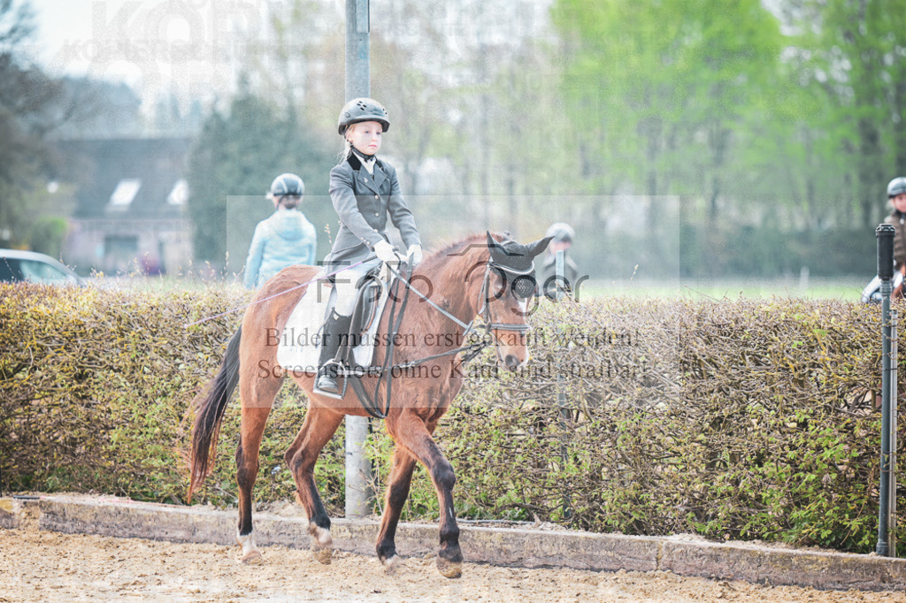 DOS_5878 | Entdecke hochwertige Reitturnierfotos von Foto Oger. Professionell, emotional und authentisch – jetzt Lieblingsmomente im Shop bestellen.Deutschlandweite Turnierfotografie. - Realisiert mit Pictrs.com