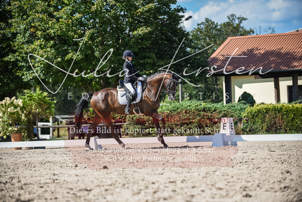 DSC_9605 | Pferde- und Turnierfotografie in Westsachsen. Pferdeportraits, Auftragszeichnungen und intuitive Kunst.