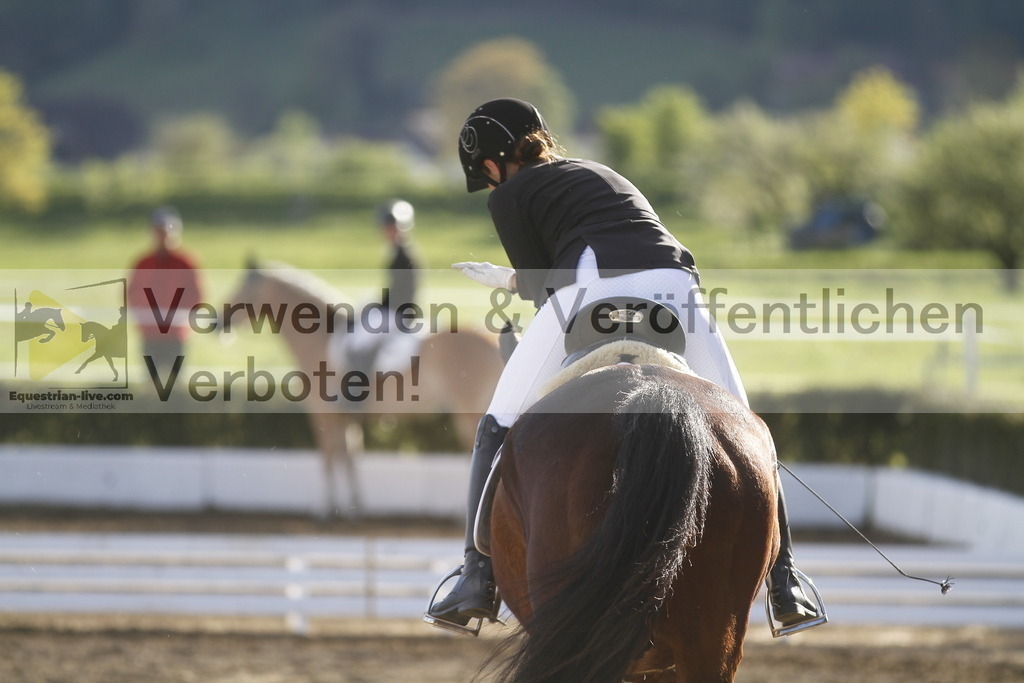 _MG_4364 | equestrian-live-com