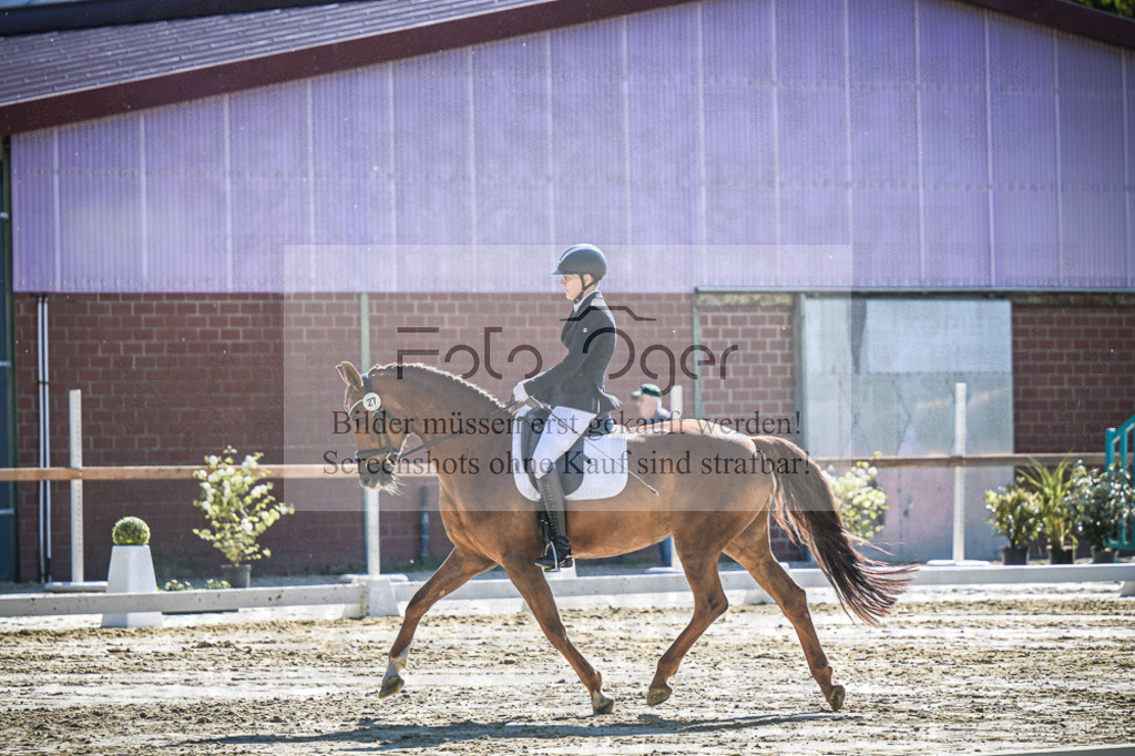 DOS_2786 | Entdecke hochwertige Reitturnierfotos von Foto Oger. Professionell, emotional und authentisch – jetzt Lieblingsmomente im Shop bestellen.Deutschlandweite Turnierfotografie. - Realisiert mit Pictrs.com