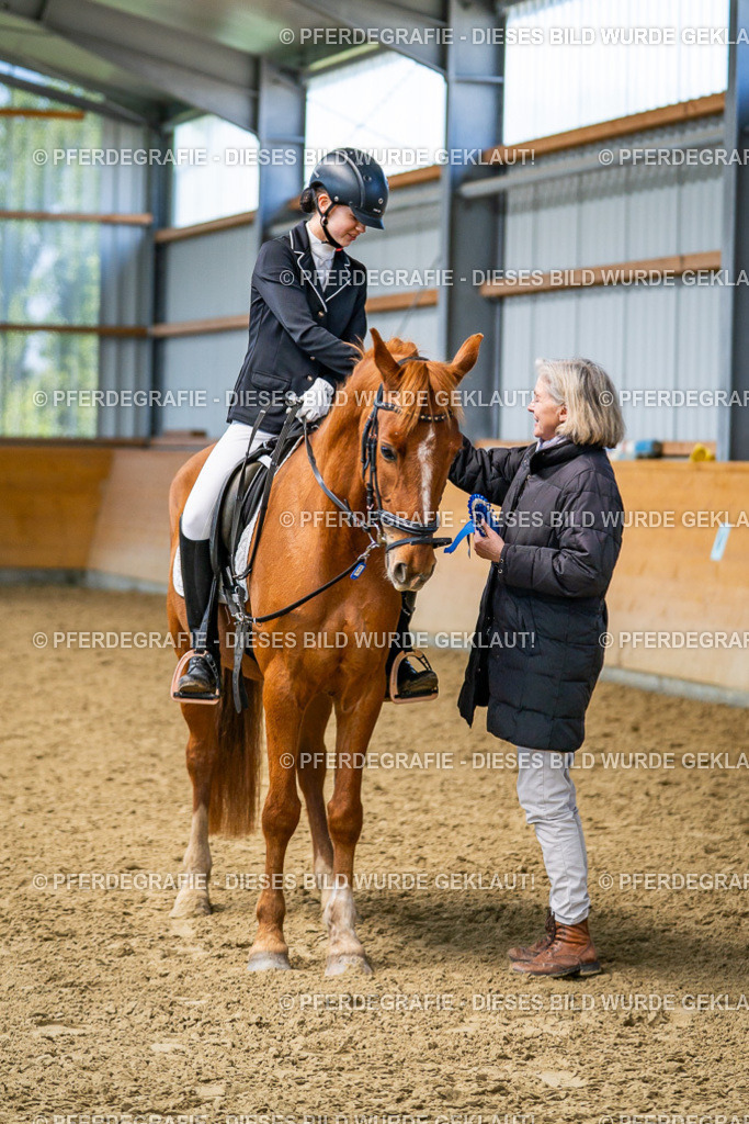 DSC03477 | Pferdegrafie