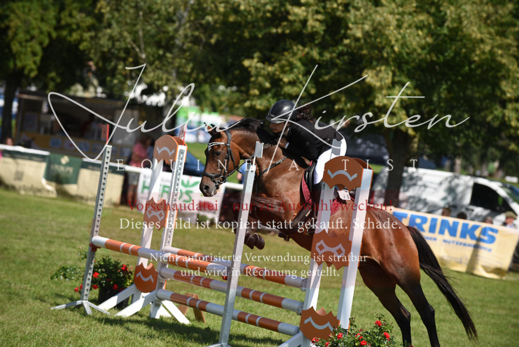 DSC_9257 | Pferde- und Turnierfotografie in Westsachsen. Pferdeportraits, Auftragszeichnungen und intuitive Kunst.