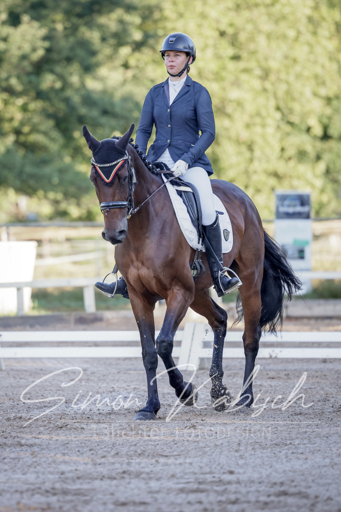 20250906-_3LI2718 | Tierfotografie Pferde, Hunde, Katzen, Haustiere.
Turnierfotografie Reitturniere, Reiten, Springreiten, Dressur in Hanau, dem Main-Kinzig-Kreis und dem Rhein-Main- Gebiet um Frankfurt