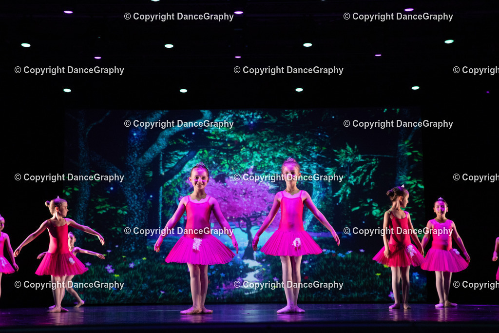 GPHY6036 | DanceGraphy - Realisiert mit Pictrs.com