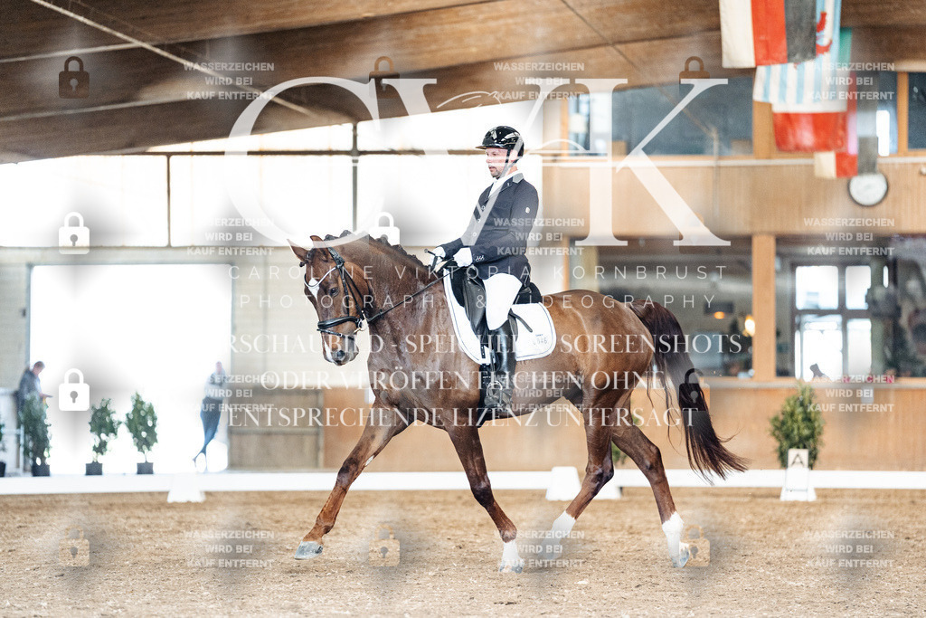 CK901595 | Turnierfotografie Pferdefotografie Trier Rheinland-Pfalz Pferdesport Reitsport Tierfotografie Sportfotografie Pferdevideo Pferdevideografie Equestrianvideography equestrianphotography  - Realized with Pictrs.com