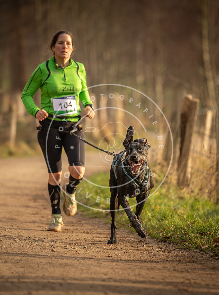 Pfotenfotografie_DV3A4755 | Hundefotografie, Tierfotograf, Pfotenfotografie, Fotoshooting Hund, Hunde Portrait, Hundesport, Hundeportraits, Heideshooting, Hunde, Sportfotograf, Hundefotograf, Turnierhundsport, THS,  - Realisiert mit Pictrs.com
