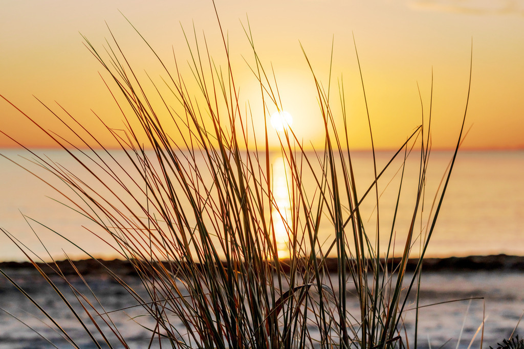 Wandbild: Sonnenaufgang am Strand am Ostseestrand | Sanfte Farben, weiches Licht und eine friedliche Morgenstimmung – dieses Wandbild vermittelt Ruhe und Wohlbefinden. Der Sonnenaufgang über der Ostsee in Damp taucht den Himmel in ein helles Orange, während die feinen Halme des Strandgrases im Vordergrund die natürliche Küstenlandschaft unterstreichen. Die warme Lichtstimmung schafft eine entspannte Atmosphäre, die ideal für Wartezimmer, Behandlungsräume oder Empfangsbereiche ist. - Realized with Pictrs.com