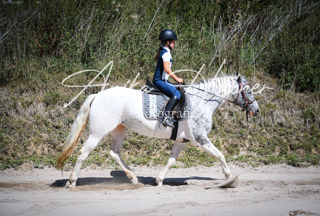 DSC_0850 | anikahuebner - Realisiert mit Pictrs.com