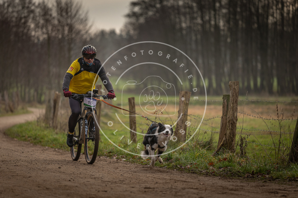 Pfotenfotografie_DV3A1841 | Hundefotografie, Tierfotograf, Pfotenfotografie, Fotoshooting Hund, Hunde Portrait, Hundesport, Hundeportraits, Heideshooting, Hunde, Sportfotograf, Hundefotograf, Turnierhundsport, THS,  - Realisiert mit Pictrs.com
