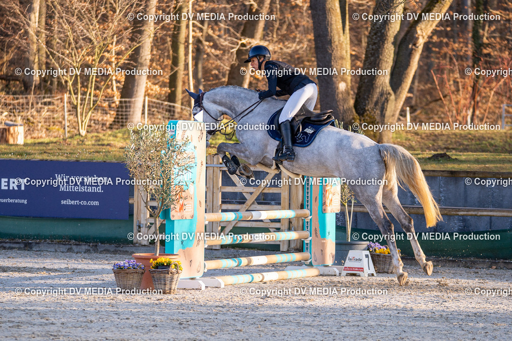 DSC-190 | dv-media-shop - Realisiert mit Pictrs.com